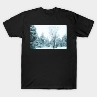 Snow and frost covered pine trees T-Shirt